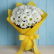 Букет цветов из:  Хризантемы в Фенино