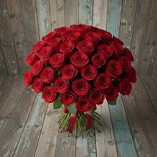 Букет 55 Красных роз Фридом #REPLACE_PRED# Фенино