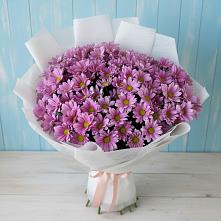 Букет цветов из:  Хризантемы в Фенино
