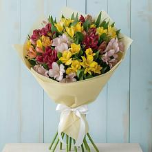Букет цветов из:  Альстромерии #REPLACE_PRED# Фенино